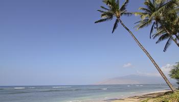 Boardwalk condo # F, Kihei, Hawaii - photo 3 of 29