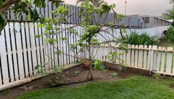 Iao Parkside IV-A condo # 103, Wailuku, Hawaii - photo 3 of 21