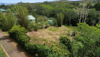 50 Waipuhia Pl B Haiku, Hi vacant land for sale - photo 1 of 32