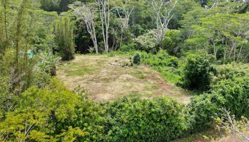 50 Waipuhia Pl B Haiku, Hi vacant land for sale - photo 3 of 32