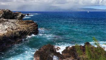 Kapalua Bay Villas II condo # 25B-4, Lahaina, Hawaii - photo 3 of 12