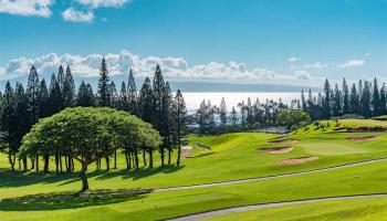 Kapalua Golf Villas condo # 11T1-2, Lahaina, Hawaii - photo 2 of 21