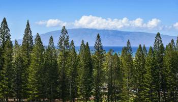 Kapalua Golf Villas condo # 12V1, Lahaina, Hawaii - photo 3 of 30
