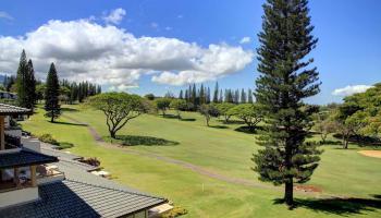 Kapalua Golf Villas condo # 14V1, Lahaina, Hawaii - photo 3 of 28