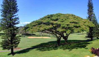 Kapalua Golf Villas condo # 14V1, Lahaina, Hawaii - photo 5 of 28