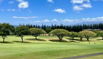 Kapalua Golf Villas condo # 18T5, Lahaina, Hawaii - photo 2 of 29