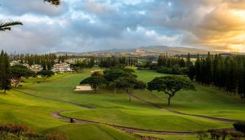 Kapalua Golf Villas condo # 21 P 1-2, Lahaina, Hawaii - photo 4 of 30