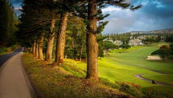 Kapalua Golf Villas condo # 21 P 1-2, Lahaina, Hawaii - photo 5 of 30