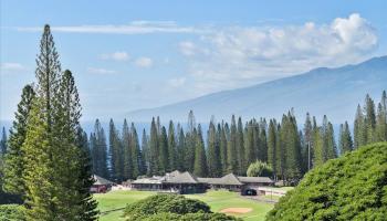 Kapalua Golf Villas condo # 24T3-4, Lahaina, Hawaii - photo 6 of 30