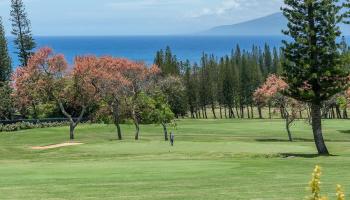 Kapalua Golf Villas condo # 27P7-8, Lahaina, Hawaii - photo 1 of 48