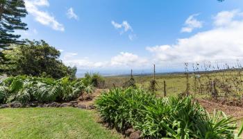 506  Kolohala Dr Near Copp Road, Kula/Ulupalakua/Kanaio home - photo 4 of 50