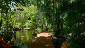 51  Hui Road E Kahana, Napili/Kahana/Honokowai home - photo 6 of 49