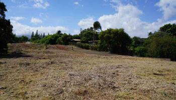 5198 Lower Honoapiilani Rd  Lahaina, Hi vacant land for sale - photo 5 of 8