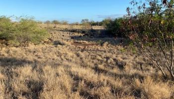 52 Kahinani Pl  Kaunakakai, Hi vacant land for sale - photo 4 of 7