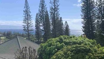520  Pacific Dr Pineapple Hill, Kapalua home - photo 2 of 30