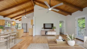 53  Waikai St Wailea Kai, Wailea/Makena home - photo 2 of 50