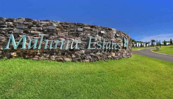 530 Mahana Ridge St Lot 33 Lahaina, Hi vacant land for sale - photo 4 of 4