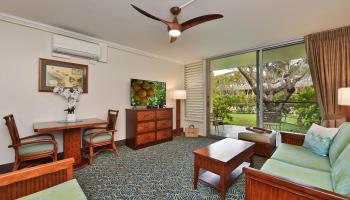 Napili Shores condo # E-139, Lahaina, Hawaii - photo 6 of 36