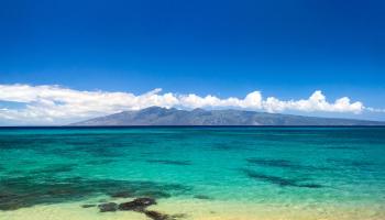 Napili Shores condo # H165, Lahaina, Hawaii - photo 2 of 43