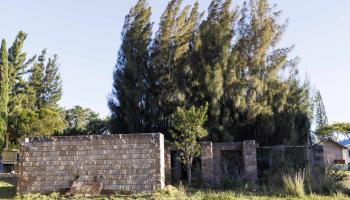 534 Kualua Pl  Lanai City, Hi vacant land for sale - photo 2 of 25