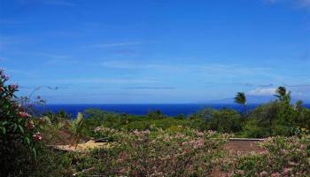 541  Kupulau Dr Maui Meadows, Maui Meadows home - photo 6 of 29