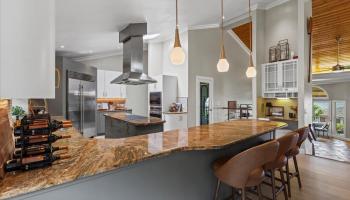 544  Iiwi Way Wailuku Heights, Wailuku home - photo 4 of 50