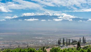 545  Iiwi Way Wailuku Heights, Wailuku home - photo 4 of 50