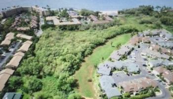 55 HEONA Pl  Kihei, Hi vacant land for sale - photo 2 of 5