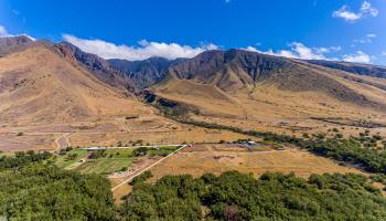 550 Ehehene St  Lahaina, Hi vacant land for sale - photo 2 of 23