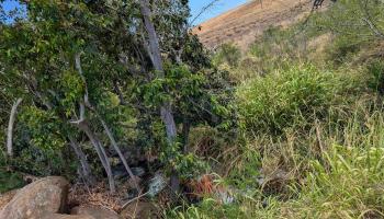 555 Hokiokio Rd  Lahaina, Hi vacant land for sale - photo 2 of 9