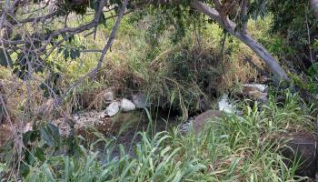 555 Hokiokio Rd  Lahaina, Hi vacant land for sale - photo 3 of 9