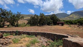 555 Hokiokio Rd  Lahaina, Hi vacant land for sale - photo 4 of 9