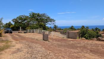 555 Hokiokio Rd  Lahaina, Hi vacant land for sale - photo 5 of 9