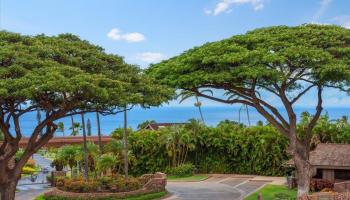 56  Iwa Pl Kaanapali Hillside Ph Ii, Kaanapali home - photo 4 of 50