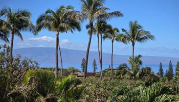 56  S Iwa Pl Kaanapali Hillside Ph Ii,  home - photo 1 of 50