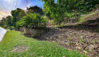 561 Iao Valley Rd Lot 3 Wailuku, Hi vacant land for sale - photo 4 of 20