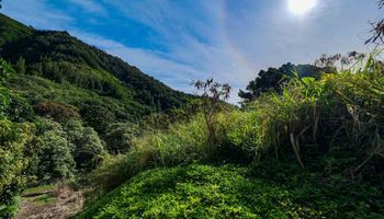 561 Iao Valley Rd Lot 3 Wailuku, Hi vacant land for sale - photo 6 of 20