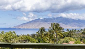 561  Kaleo Pl Maui Meadows, Maui Meadows home - photo 2 of 49