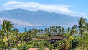 561  Kaleo Pl Maui Meadows, Maui Meadows home - photo 2 of 36