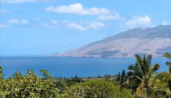 561  Kaleo Pl Maui Meadows, Maui Meadows home - photo 3 of 36