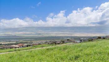 563 Kauna Lipo Dr Kehalani  - photo 3 of 12