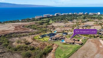 564  Anapuni Loop Lanikeha Ph Ii, Kaanapali home - photo 3 of 50