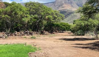 5757 Kamehameha V Hwy  Kaunakakai, Hi vacant land for sale - photo 2 of 10