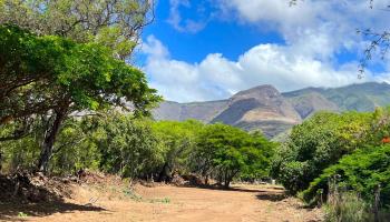 5757 Kamehameha V Hwy  Kaunakakai, Hi vacant land for sale - photo 3 of 10