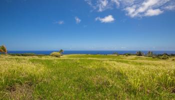 580 Kai Huki Cir Haiku  - photo 5 of 7