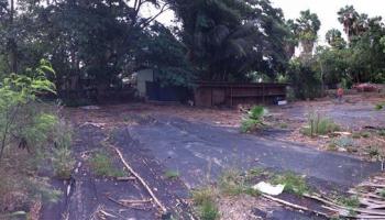 580 Luakini St  Lahaina, Hi vacant land for sale - photo 5 of 6