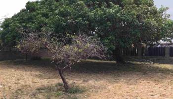 586  Kaulana St Eleventh Increment, Kahului home - photo 3 of 3