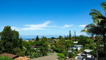 587  Laie Dr Pono Puu Condominium, Makawao/Olinda/Haliimaile home - photo 4 of 17