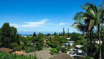 587  Laie Dr Pono Puu Condominium, Makawao/Olinda/Haliimaile home - photo 6 of 17