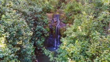 590  Kuiaha Rd , Haiku home - photo 5 of 42